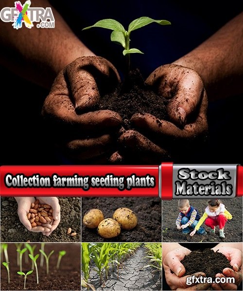 Collection farming seeding plants sprout earth bed 25 HQ Jpeg