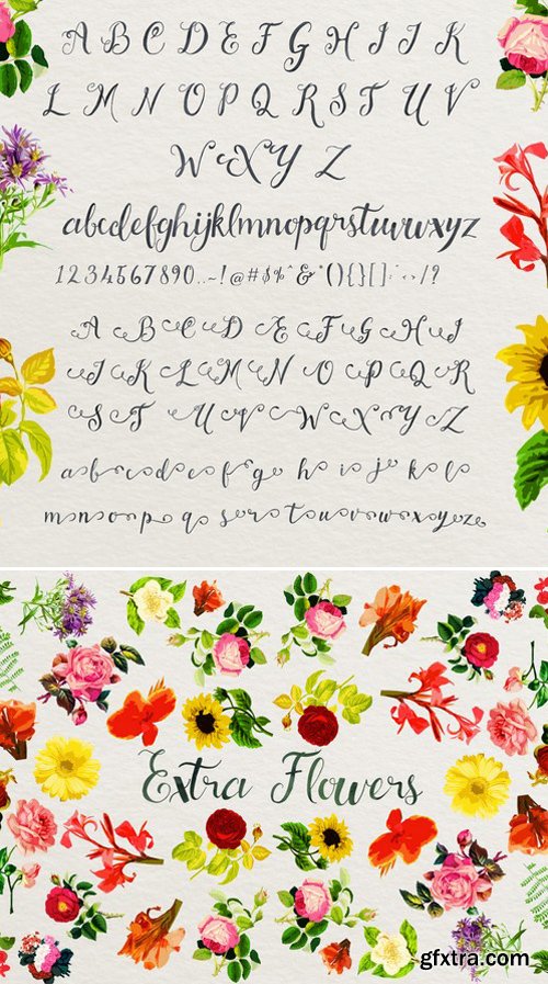 CM - Xellow Script & Extra Flower