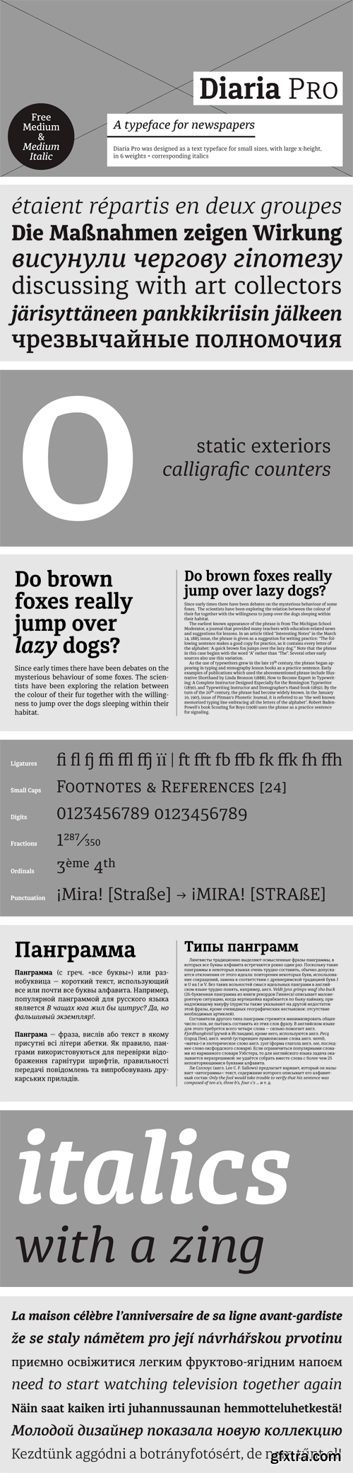 Diaria Pro Font Family - 12 Fonts $245