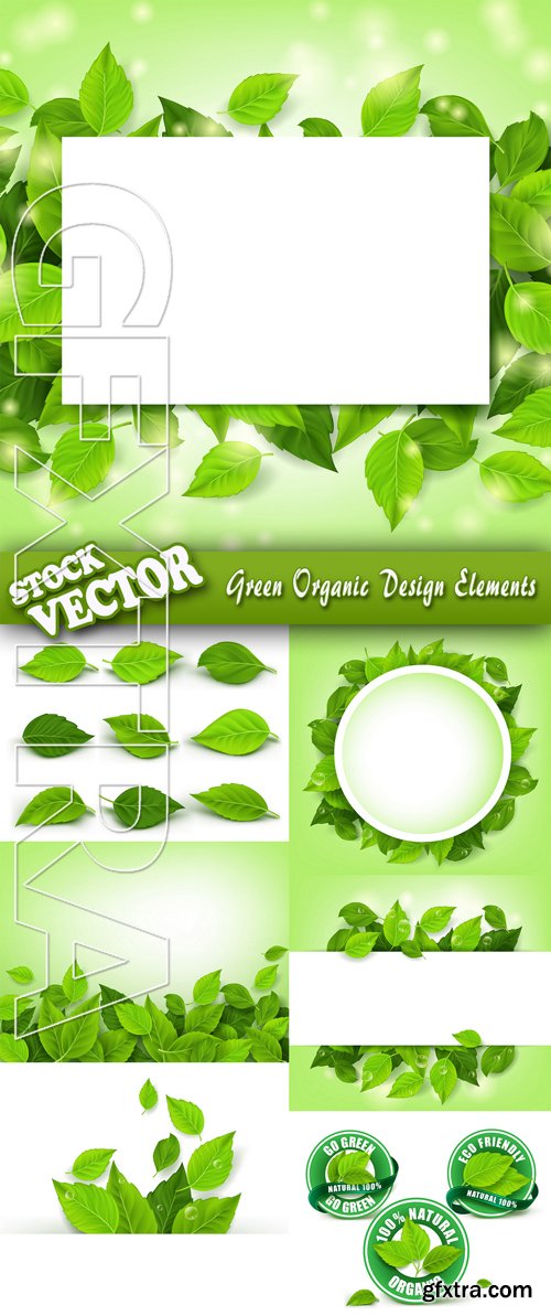 Stock Vector - Green Organic Design Elements