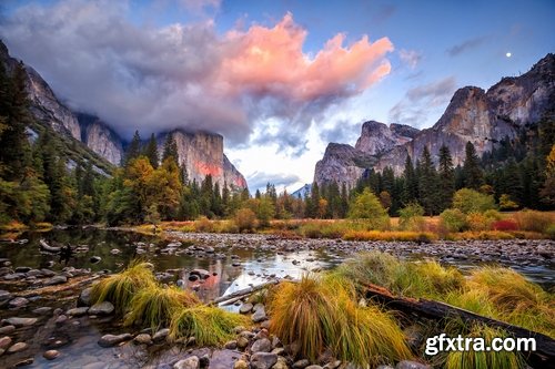 Collection swamp trees in the swamp on the various landscapes 25 HQ Jpeg