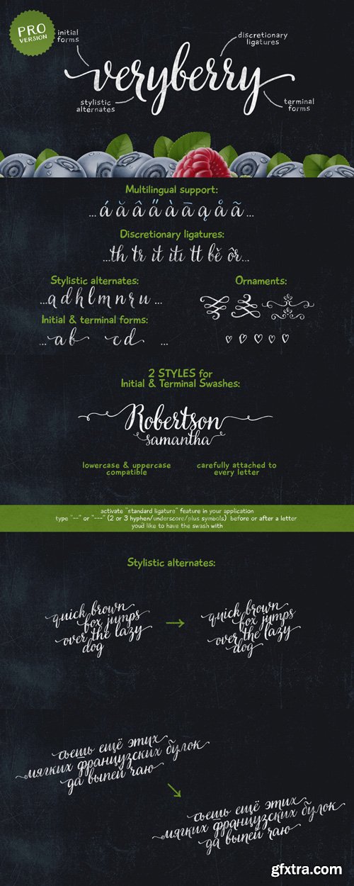 Veryberry Pro Font Family $35