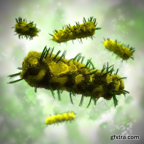 Bacterium & Virus, 25xUHQ JPEG