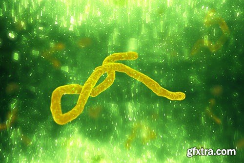 Bacterium & Virus, 25xUHQ JPEG