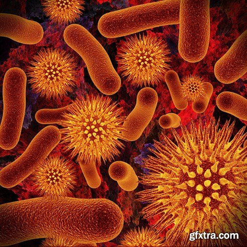 Bacterium & Virus, 25xUHQ JPEG