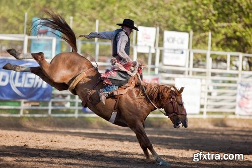 Collection of various rodeo cowboy lasso image leather boots saddle 25 HQ Jpeg