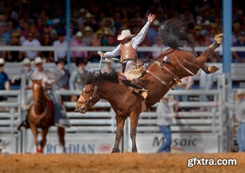 Collection of various rodeo cowboy lasso image leather boots saddle 25 HQ Jpeg