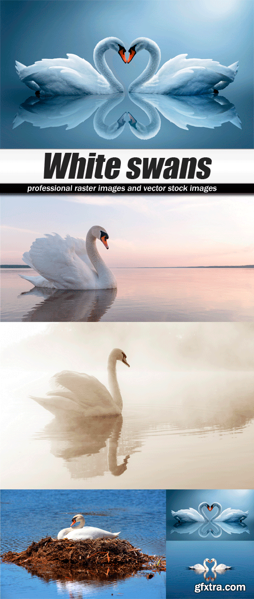 White swans