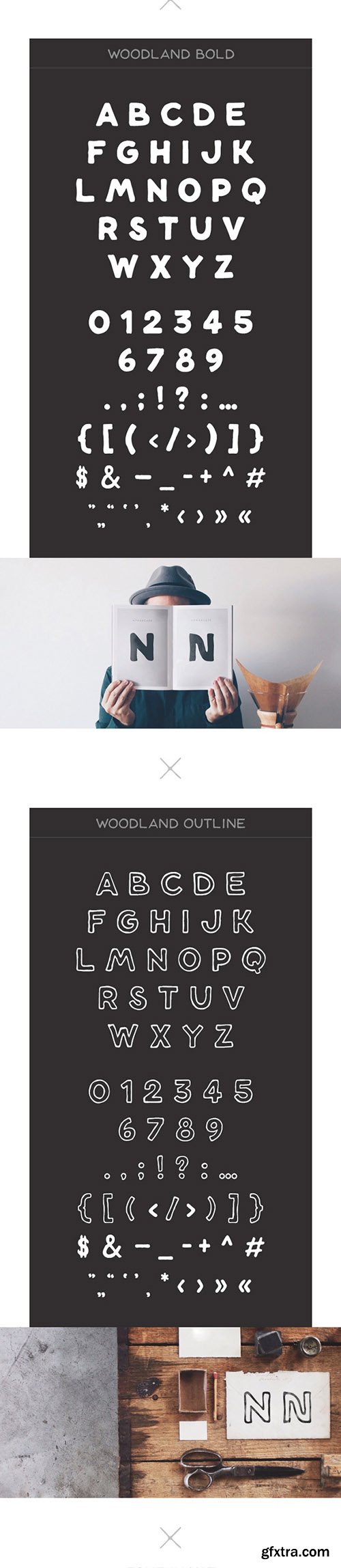 GraphicRiver Woodland Font 10593502