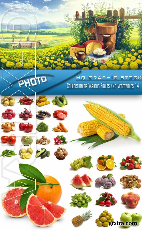 Stock Photo - Collection of Various Fruits and Vegetables 14
