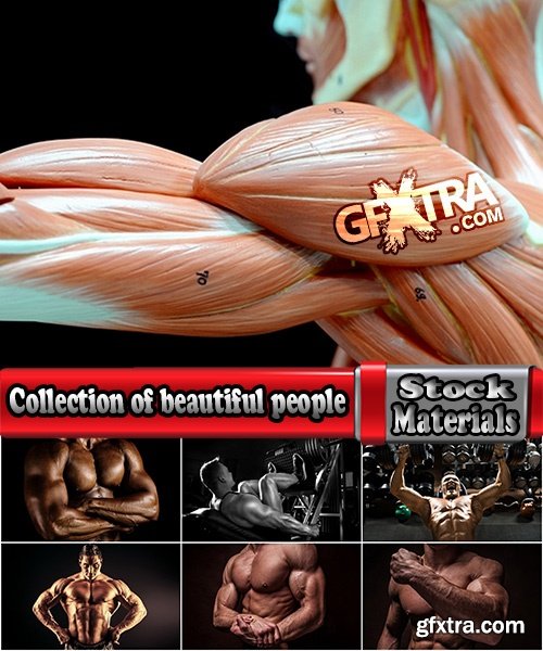 Collection of beautiful people engaged in fitness bodybuilder inflated muscles 25 HQ Jpeg