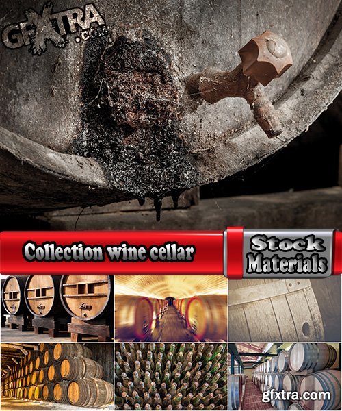 Collection wine cellar barrel grapes vintage bottles 25 HQ Jpeg