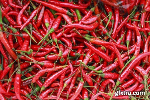 Stock Photos - Chili, 25xJPG