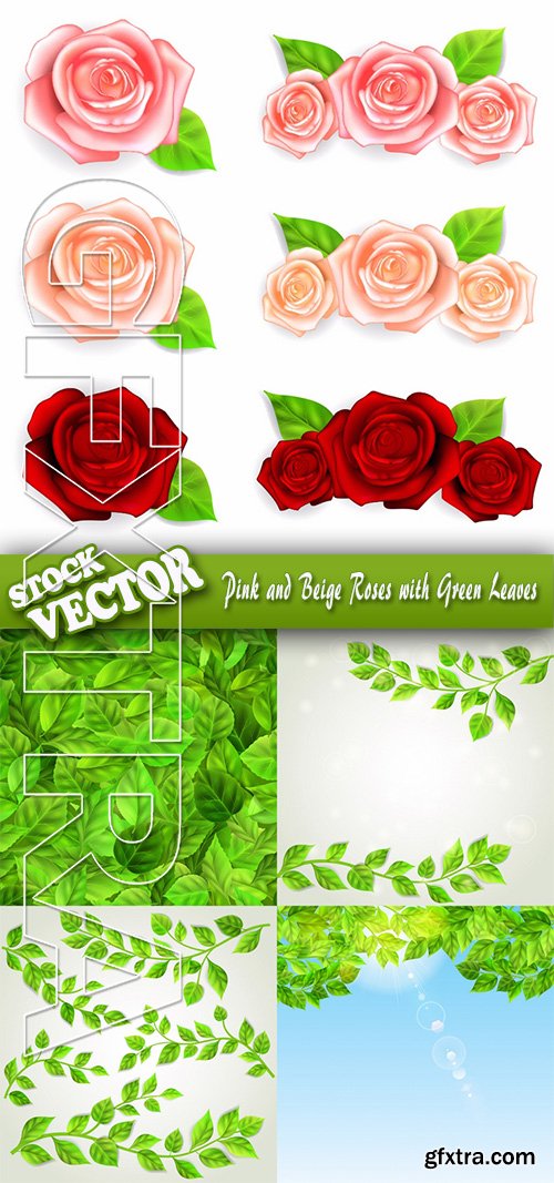 Stock Vector - Pink and Beige Roses with Green Leaves