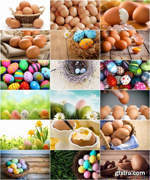 Collection of different eggs in the nest Easter Egg 25 HQ Jpeg