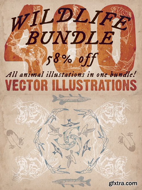 CM Wildlife Bundle - 400 Animal Vectors 215689