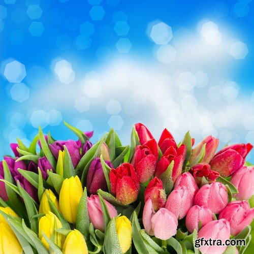 Spring bouquets of tulips 9x JPEG