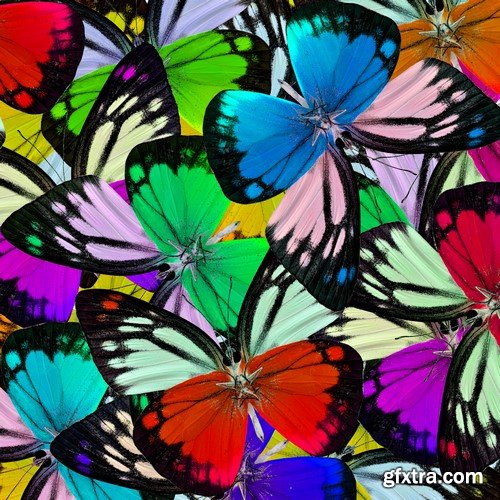 Bright and beautiful butterflies 8x JPEG