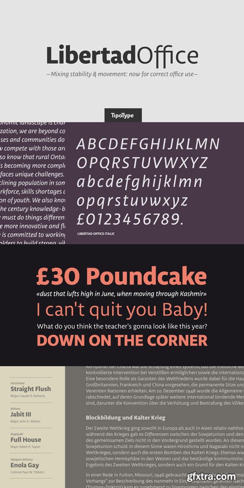 Libertad Office Font Family $49.90