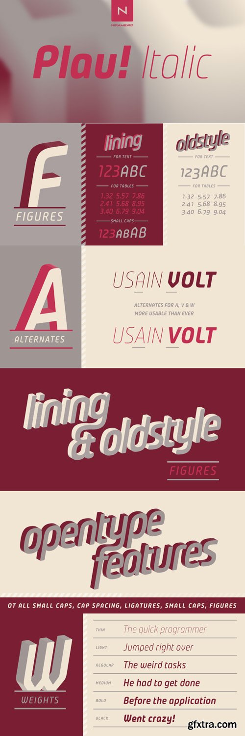 Plau Italics Font Family $89