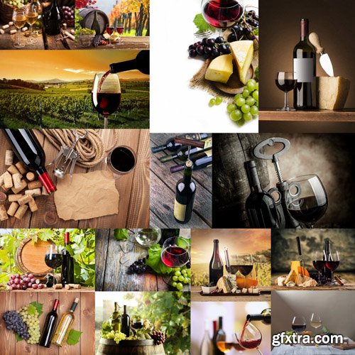 Wine Collection - 25 HQ Images