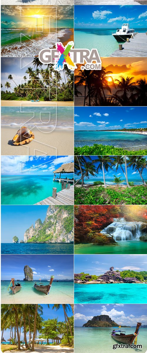 Tropical beach paradise ocean and palm Stock Photo