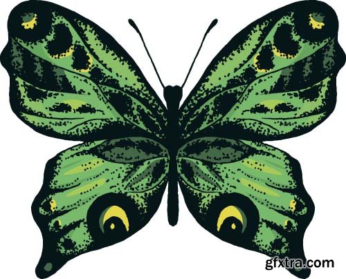 Butterflies are beautiful and colorful 11x EPS