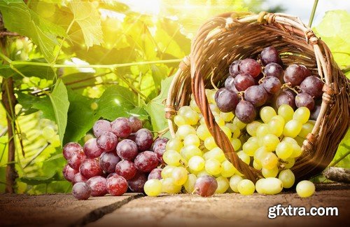 Stock Photos - Grapes, 25xJPG