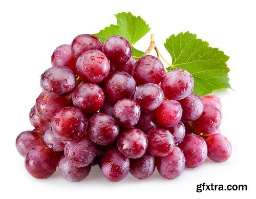 Stock Photos - Grapes, 25xJPG