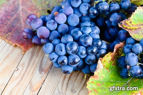 Stock Photos - Grapes, 25xJPG