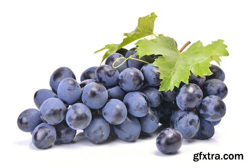 Stock Photos - Grapes, 25xJPG