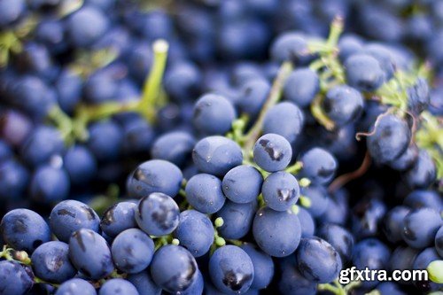 Stock Photos - Grapes, 25xJPG