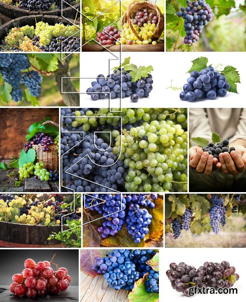 Stock Photos - Grapes, 25xJPG