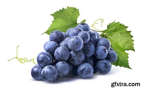 Stock Photos - Grapes, 25xJPG