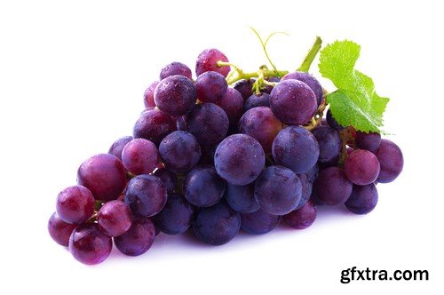 Stock Photos - Grapes, 25xJPG