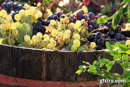 Stock Photos - Grapes, 25xJPG