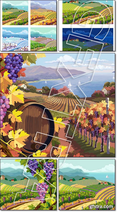 Rural landscapes. Vineyard and grapes bunches. Four seasons - Vector