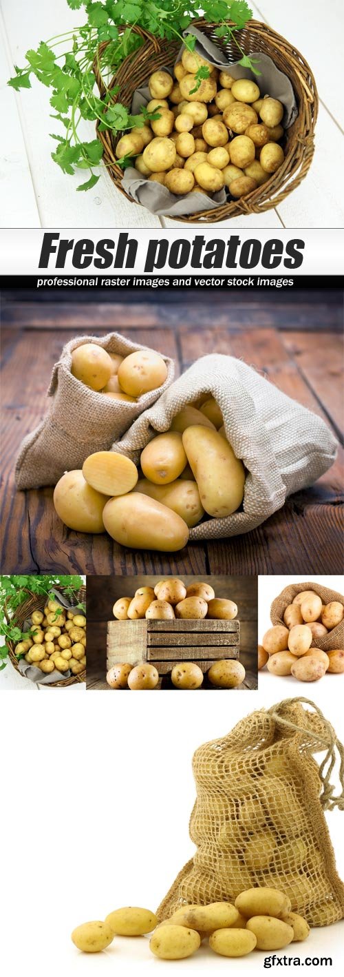 Fresh potatoes