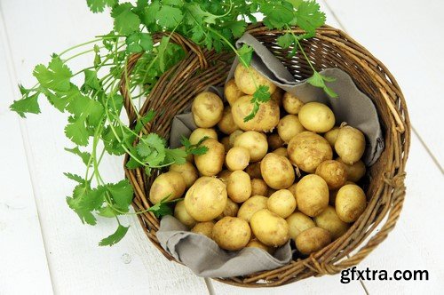 Fresh potatoes