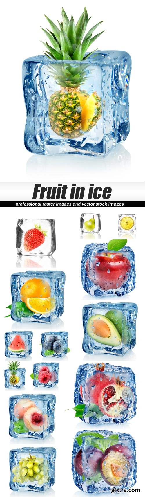 Fruit in ice