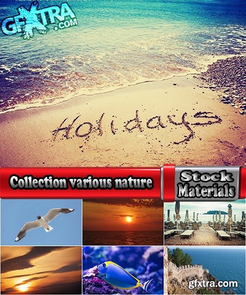 Collection various nature plants landscape rock sea beach 25 HQ Jpeg