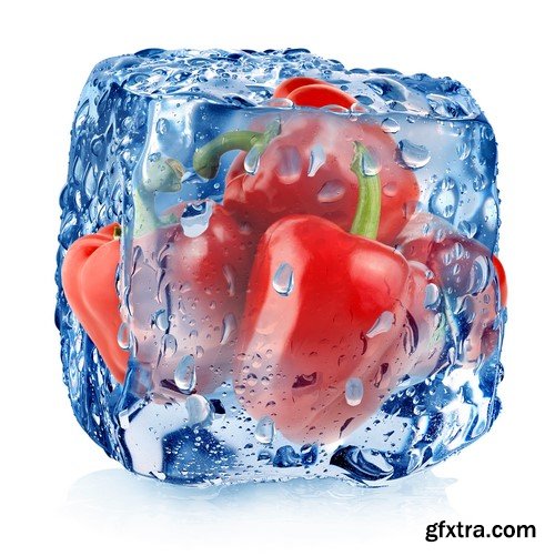 Vegetables in ice