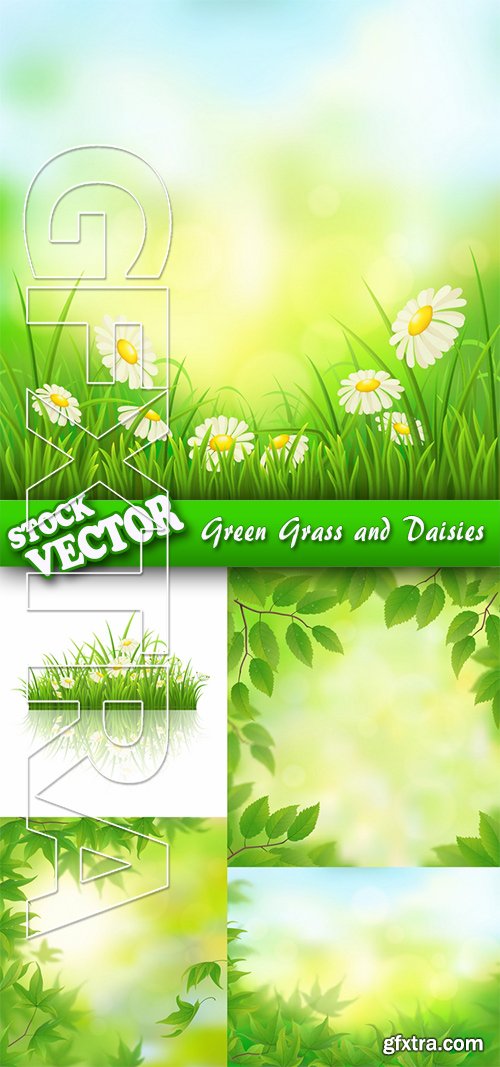 Stock Vector - Green Grass and Daisies