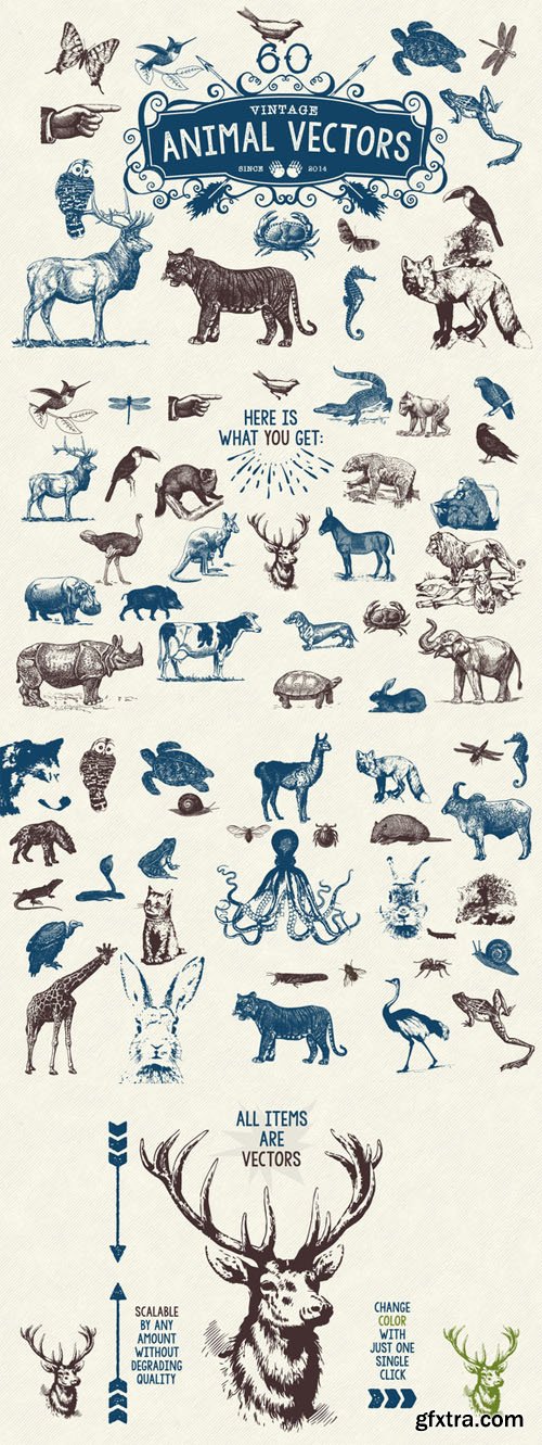 60 Vintage Animal Vectors - CM 95288