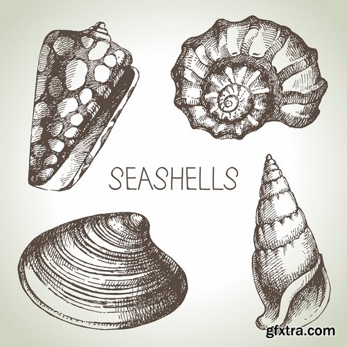 Collection of different vector picture painted seashell sink 25 Eps