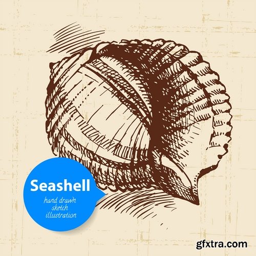 Collection of different vector picture painted seashell sink 25 Eps