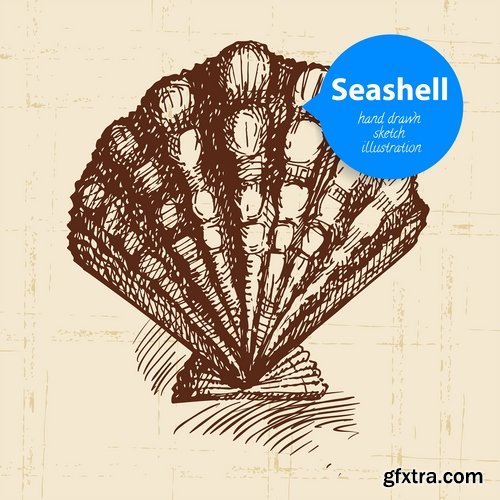 Collection of different vector picture painted seashell sink 25 Eps