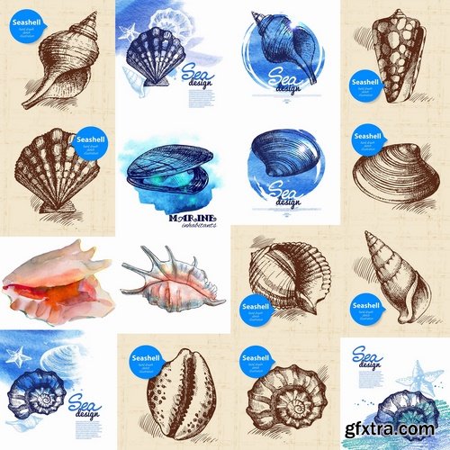 Collection of different vector picture painted seashell sink 25 Eps