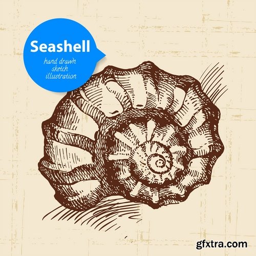 Collection of different vector picture painted seashell sink 25 Eps