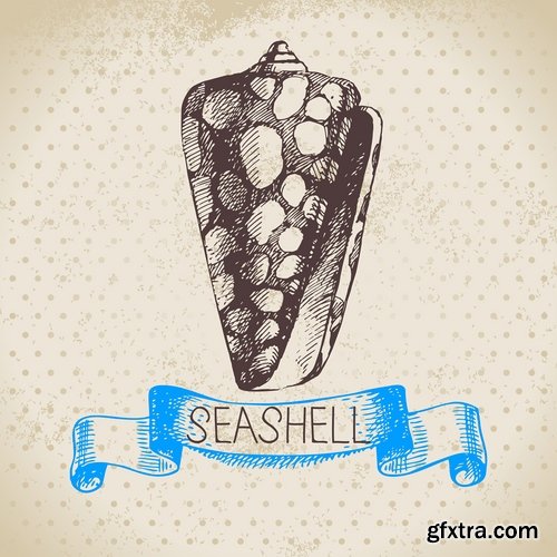 Collection of different vector picture painted seashell sink 25 Eps